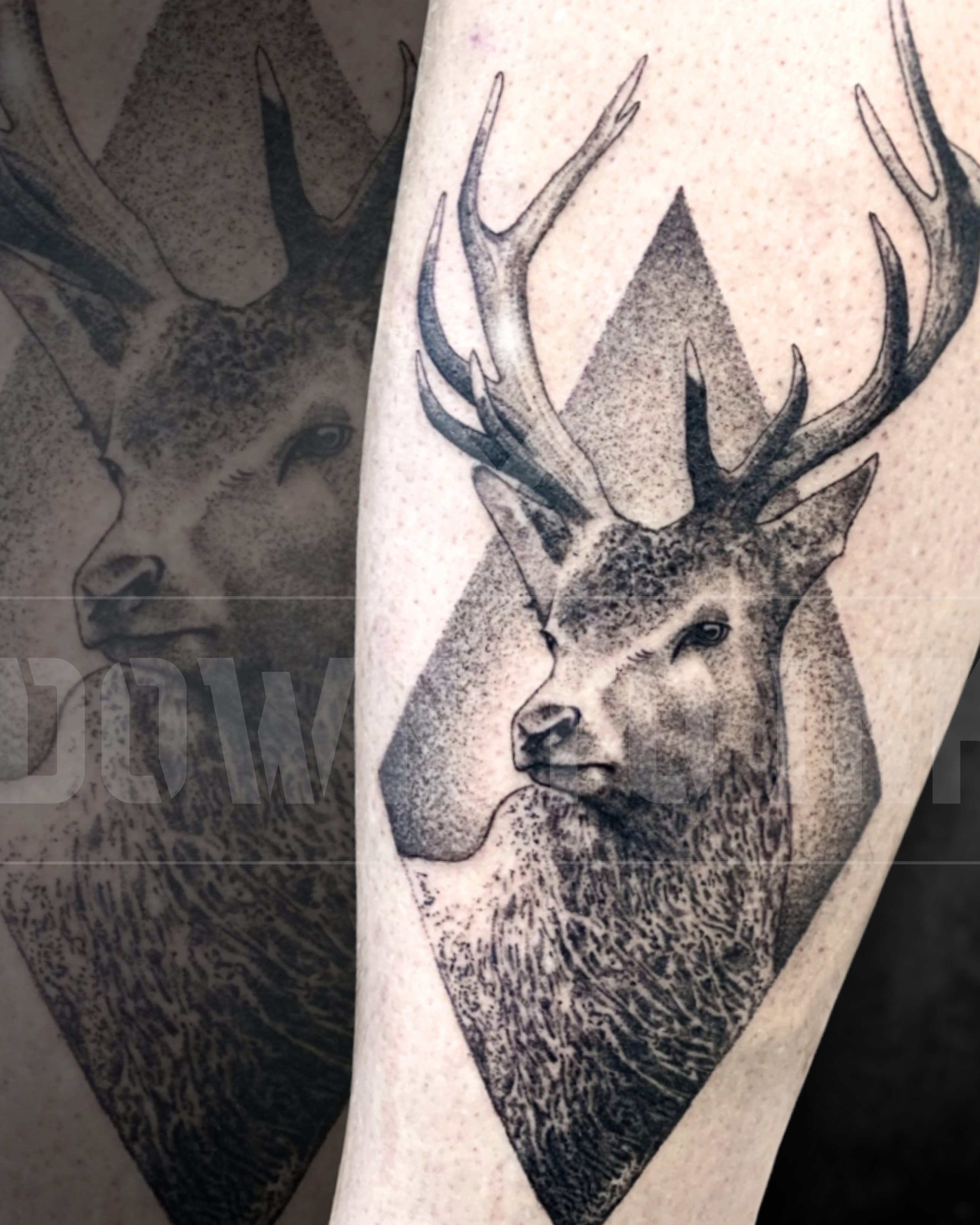 Alvaro Dotwork