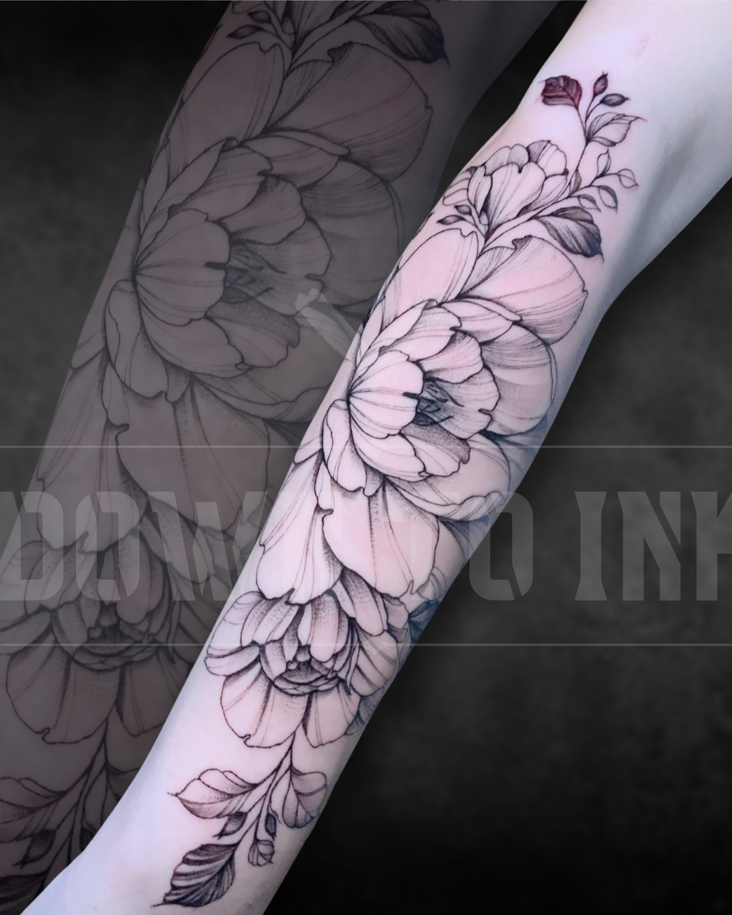 Alvaro Floral (2)