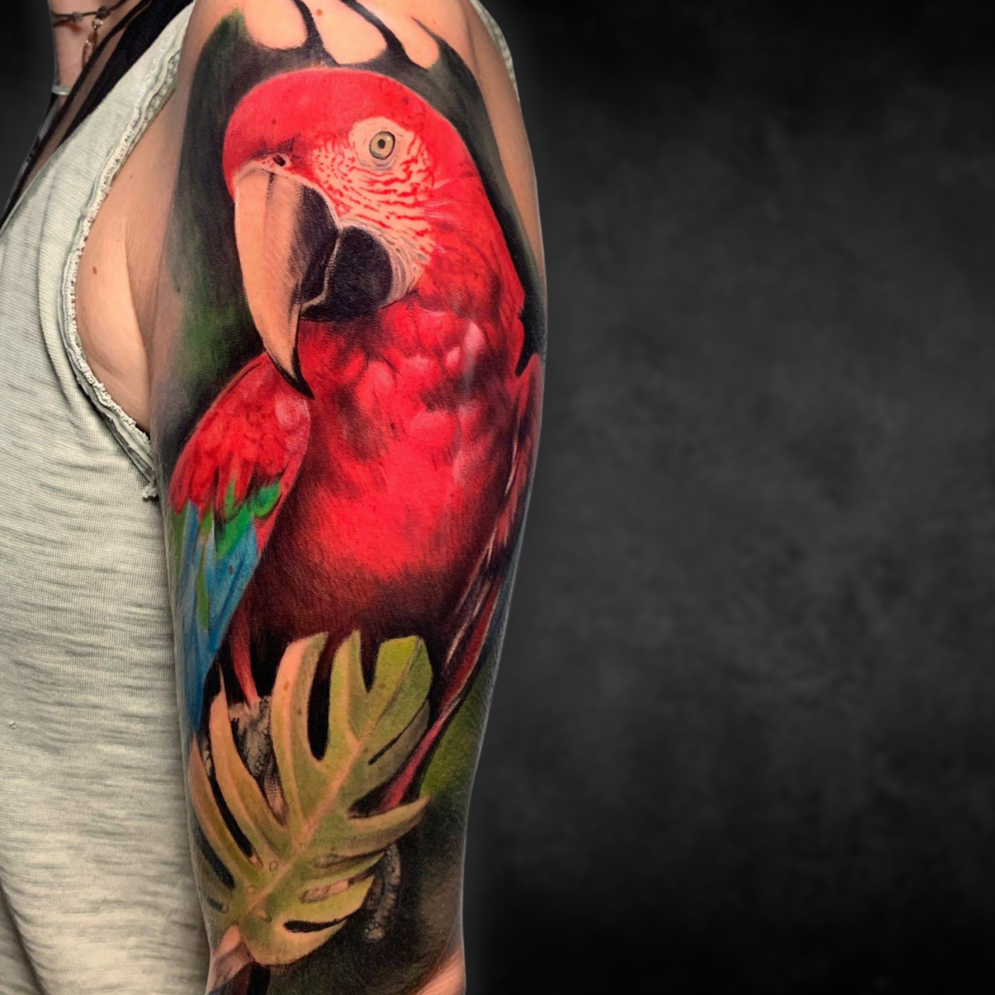 Color Realistic